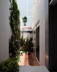 Patio de iluminaci&oacute;n con jard&iacute;n seco y enredaderas.